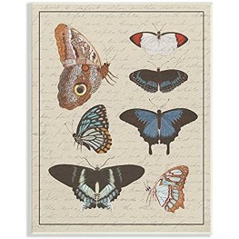 Stupell Industries Butterfly and Moth Study Vintage Cursive Script Designed by Daphne Polselli Wall Plaque 10 x 15 Multi-Color